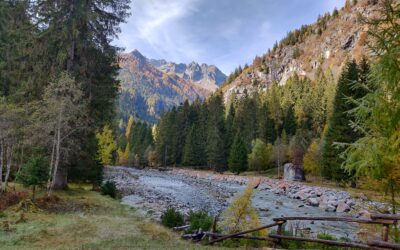 Ritiro di Yoga e Meditazione in Trentino